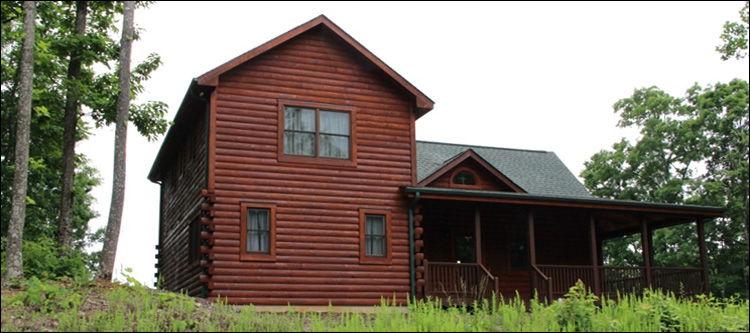 Professional Log Home Borate Application  Sumter County, Georgia